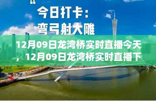 12月09日龙湾桥直播,城市发展与交通状况实时探讨