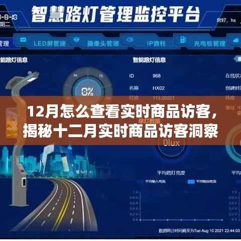 揭秘十二月实时商品访客洞察,洞悉访客动态与商业进展的秘诀