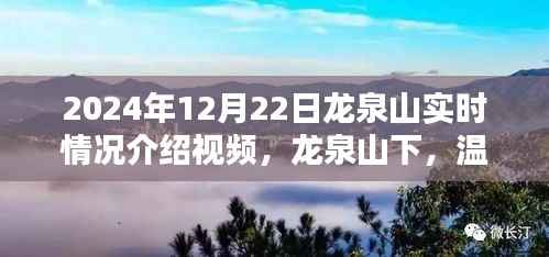 龙泉山实时探访纪实，温馨日常的奇遇与陪伴