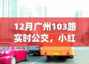 揭秘广州公交新体验,小红书推荐下的广州公交103路实时动态(12月版)