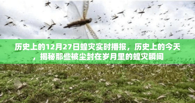 历史上的蝗灾瞬间，揭秘尘封岁月中的12月27日蝗灾实时播报