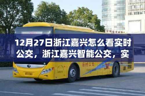 浙江嘉兴实时公交与智能出行,科技重塑城市生活新篇章