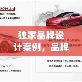 独家品牌设计案例,品牌设计方案案例