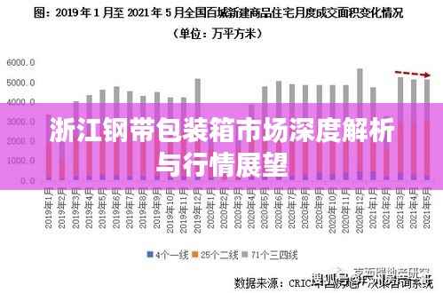 浙江钢带包装箱市场深度解析与行情展望