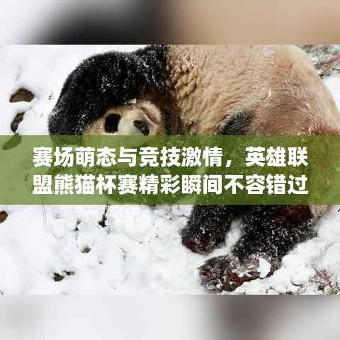 赛场萌态与竞技激情，英雄联盟熊猫杯赛精彩瞬间不容错过！