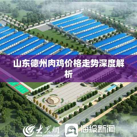 山东德州肉鸡价格走势深度解析