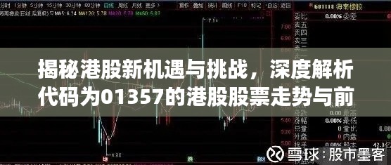 揭秘港股新机遇与挑战,深度解析代码为01357的港股股票走势与前景分析