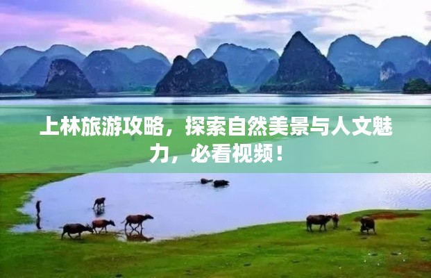 上林旅游攻略,探索自然美景与人文魅力,必看视频!