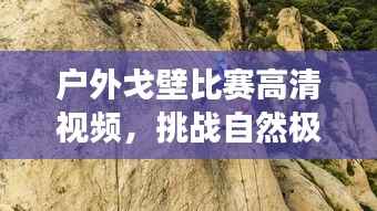 户外戈壁比赛高清视频,挑战自然极限,见证运动激情!