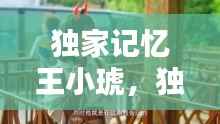 独家记忆王小琥,独家记忆视频片段