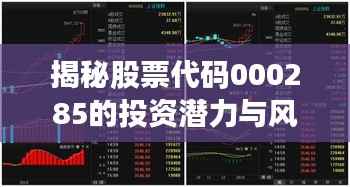揭秘股票代码000285的投资潜力与风险控制策略,股票深度解析