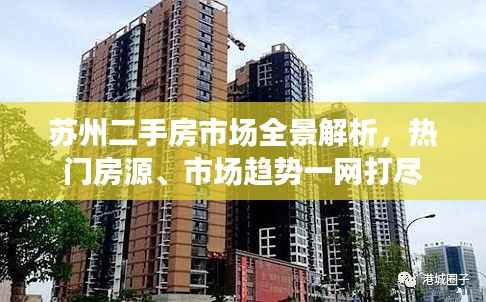 苏州二手房市场全景解析,热门房源、市场趋势一网打尽