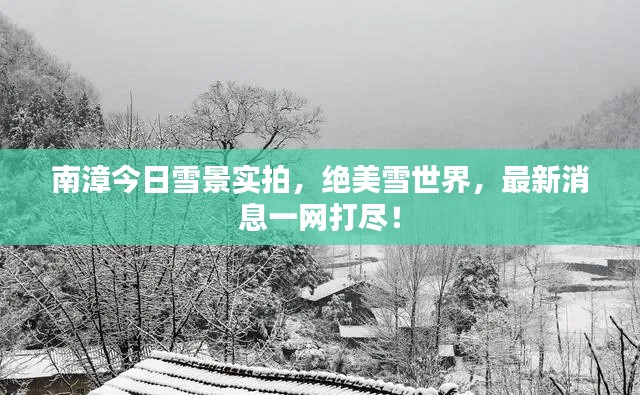 南漳今日雪景实拍,绝美雪世界,最新消息一网打尽!