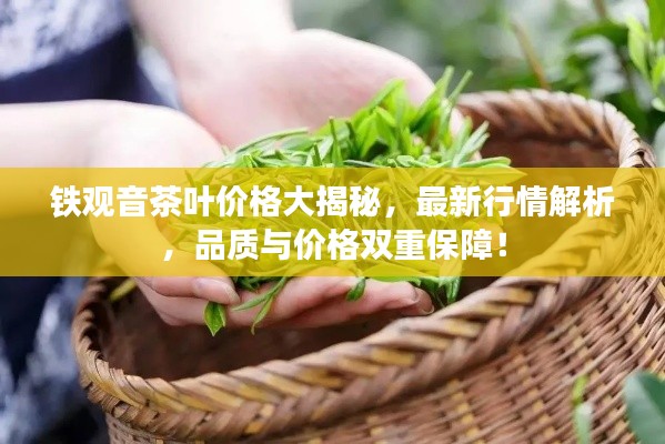 铁观音茶叶价格大揭秘,最新行情解析,品质与价格双重保障!