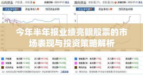今年半年报业绩亮眼股票的市场表现与投资策略解析