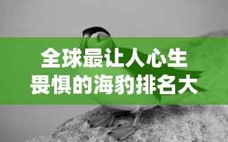 全球最让人心生畏惧的海豹排名大揭秘!