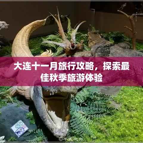 大连十一月旅行攻略,探索最佳秋季旅游体验