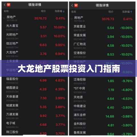 大龙地产股票投资入门指南