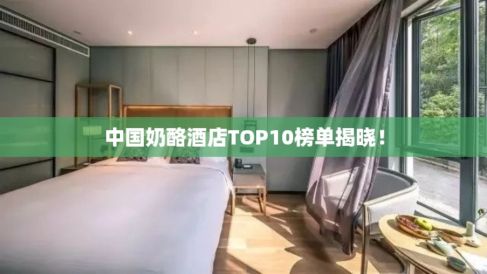 中国奶酪酒店TOP10榜单揭晓!