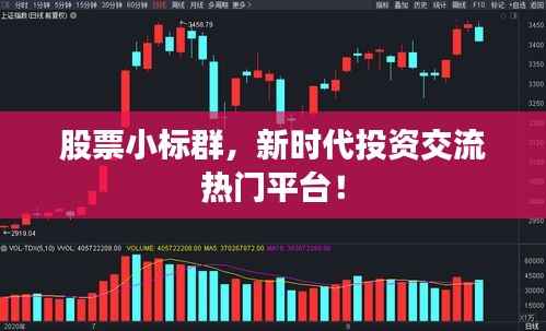 股票小标群,新时代投资交流热门平台!