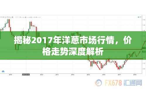 揭秘2017年洋葱市场行情,价格走势深度解析