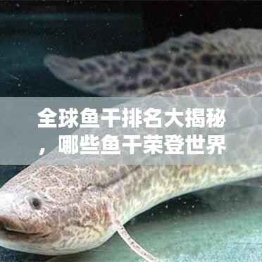 全球鱼干排名大揭秘,哪些鱼干荣登世界之最榜单?