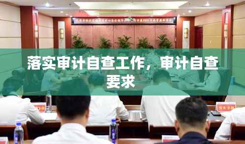 落实审计自查工作,审计自查要求