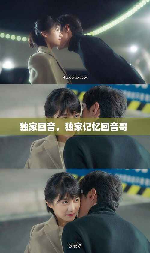 独家回音,独家记忆回音哥
