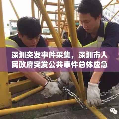 深圳突发事件采集，深圳市人民政府突发公共事件总体应急预案 