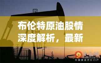 布伦特原油股情深度解析,最新动态一网打尽
