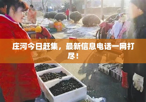 庄河今日赶集，最新信息电话一网打尽！